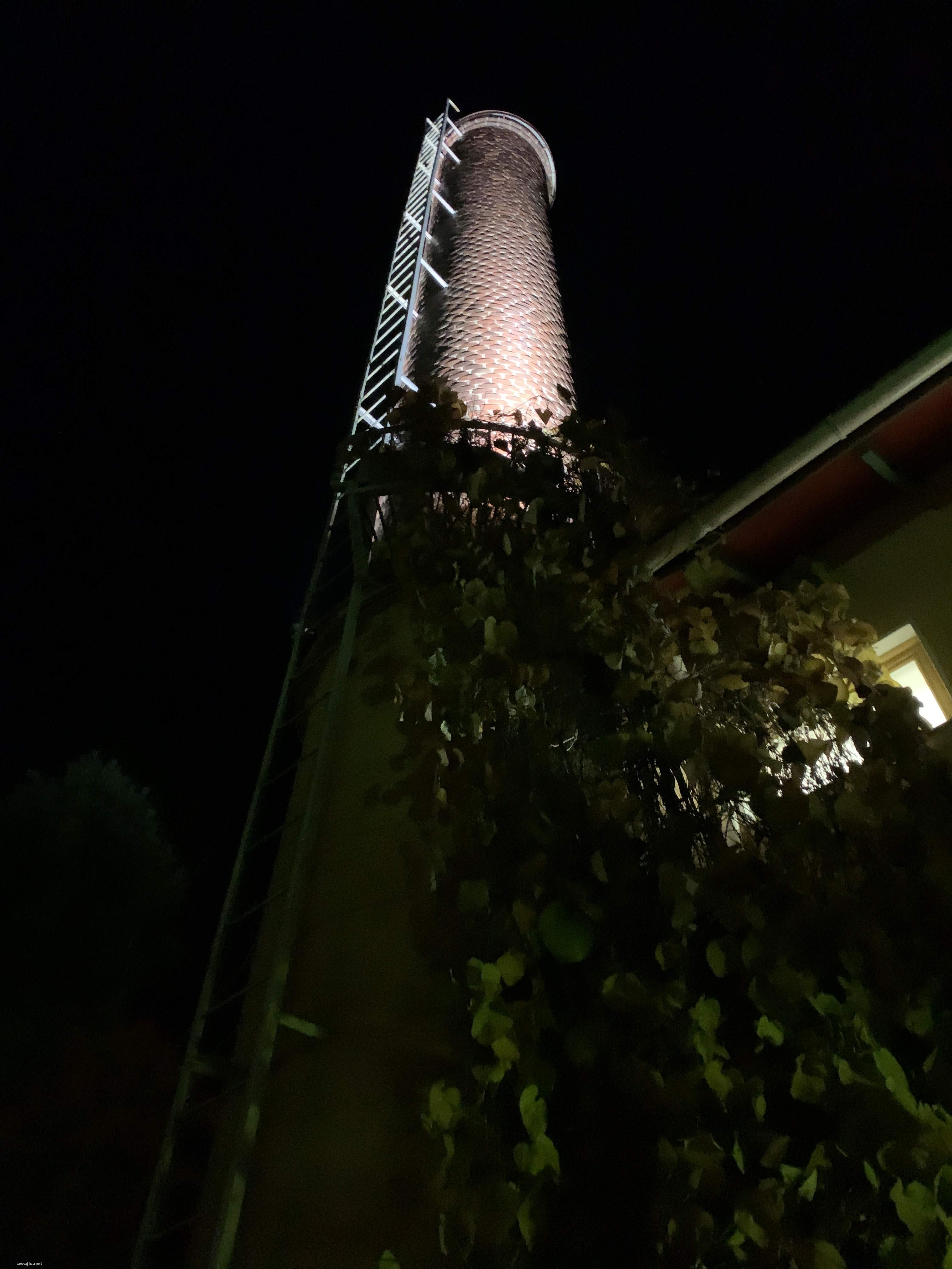 IMG_8529
